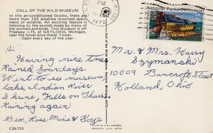 Call of the Wild - Old Postcard